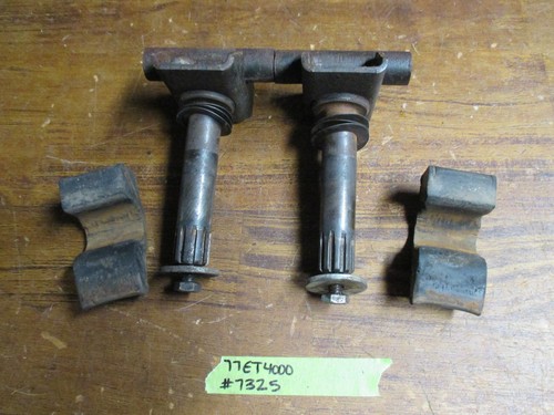 Vintage arctic cat tigre - el,
