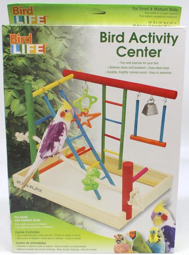 Bird life activity - bird,