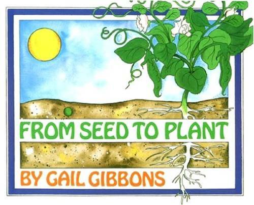 From seed plant paperback - to,