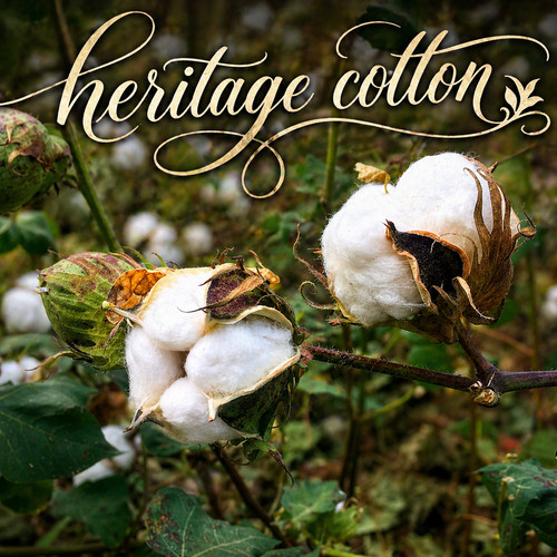 Heritage cotton seeds - heritage,