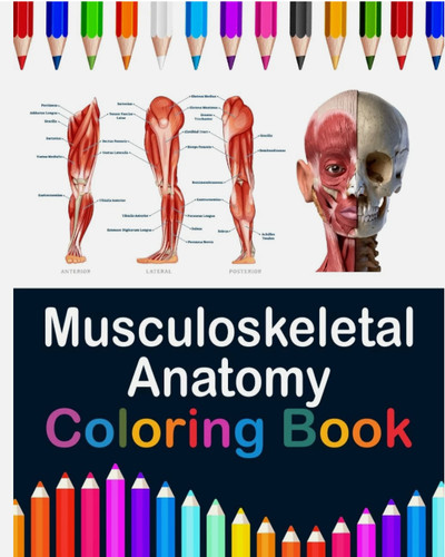 Musculoskeletal anatomy - musculoskeletal,