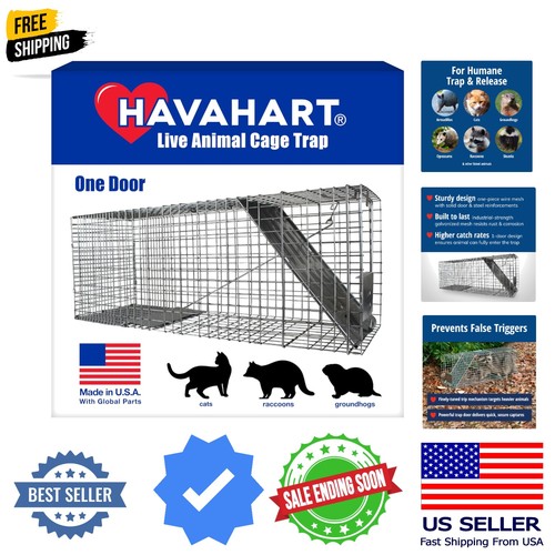 Large door live animal trap - large, 1-door