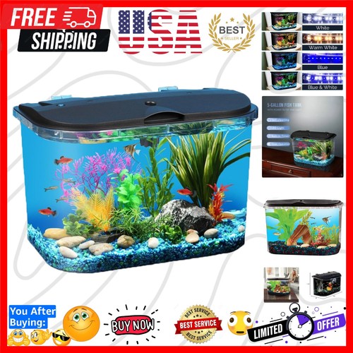 Gallon aquarium kit - 5-gallon,