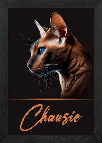 Adorable chausie framed - adorable,