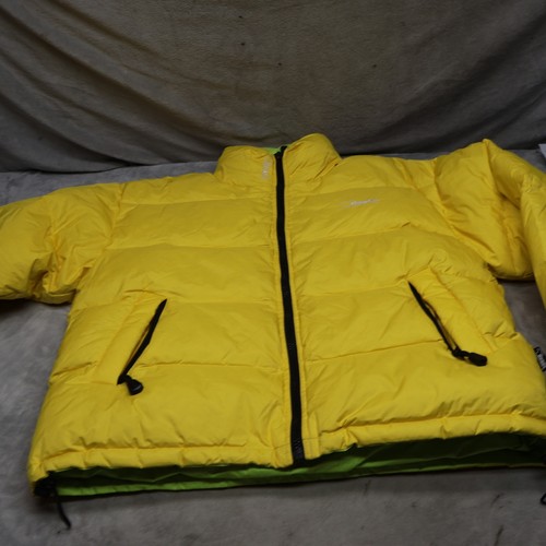 Bear usa down jacket men - usa,