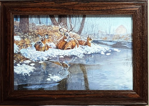 Hansel creekside deer - deer, framed
