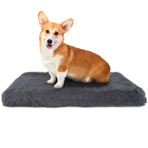 Small medium large - small,