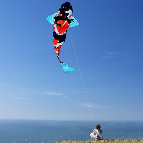 Large koi fish kite versatile - koi,