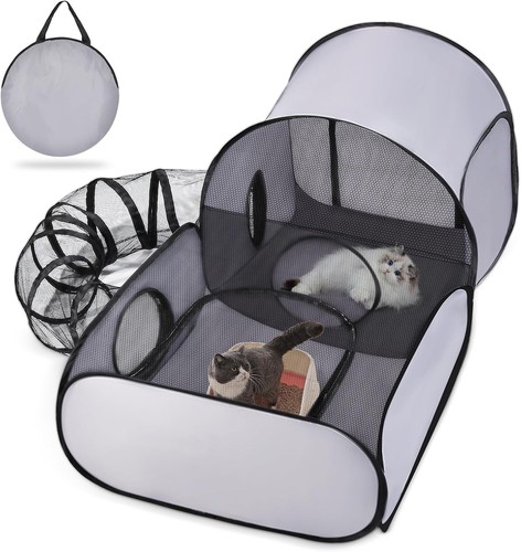 Comfortable outdoor cat - comfortable,