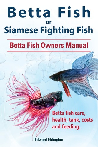 Betta fish siamese fighting - siamese,