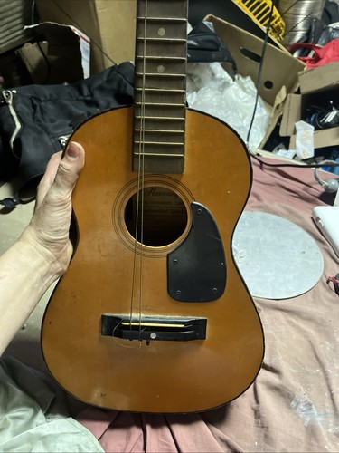Vintage harmony acoustic