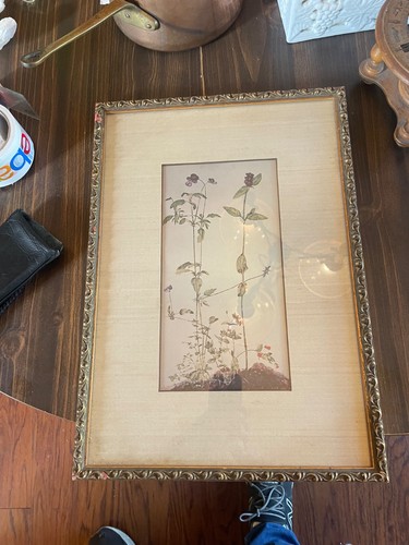 Botanical print albrecht - print, {albrecht