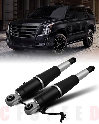 Pair rear air shock - rear,