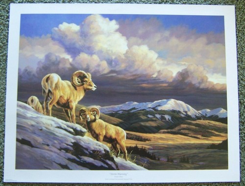 1999 colorado ducks unlimited - ducks,