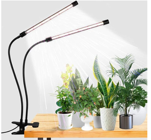 Electric dual led - dual,