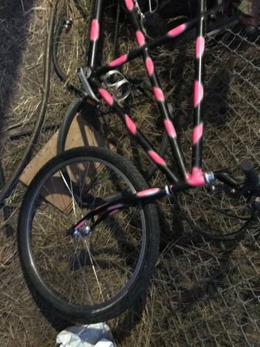 Ritchey mtb tandem fillet