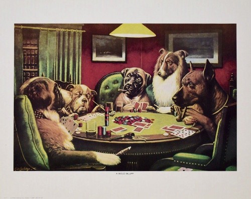 Coolidge bold bluff dogs - m, a