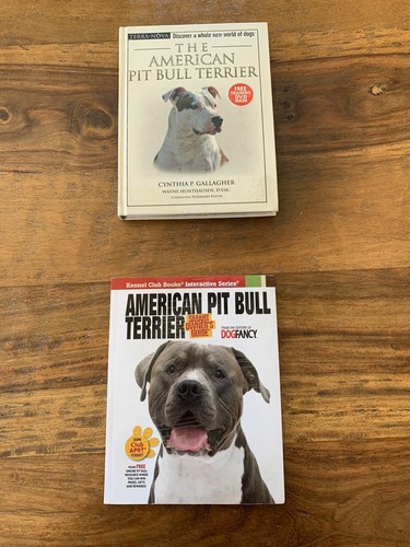 American pit bull - american,