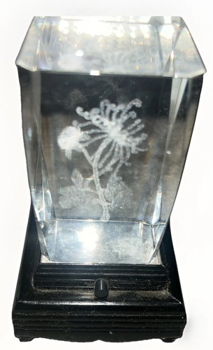 Laser etched crystal glass - crystal,