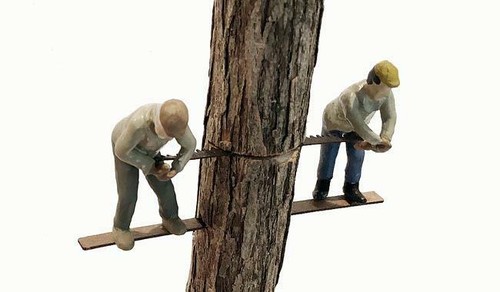 Lumberjack team their - lumberjack,