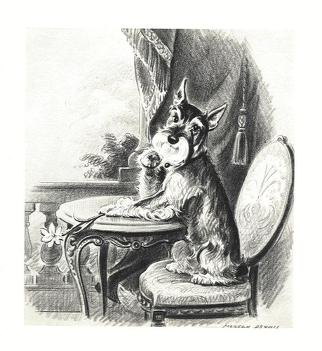 Schnauzer custom matted - -,
