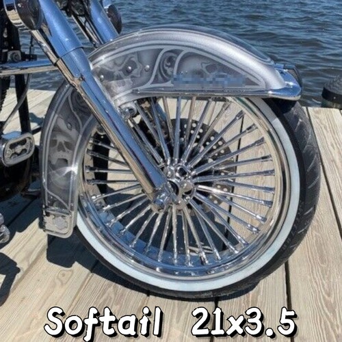 21x3 fat spoke front wheel - spoke,