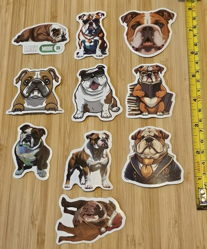 Olde english bulldog lot - english,