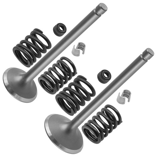 Caltric intake exhaust - &,
