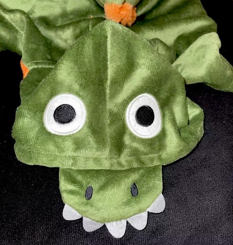 Martha stewart green alligator - stewart,