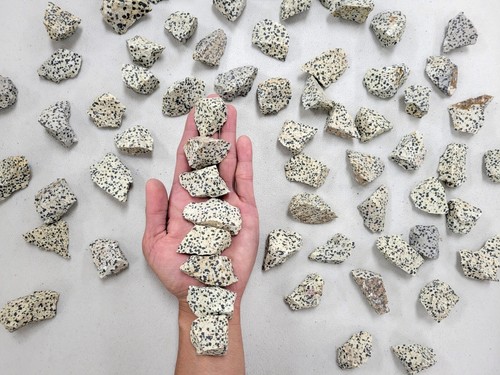 Rough dalmatian jasper - rough,