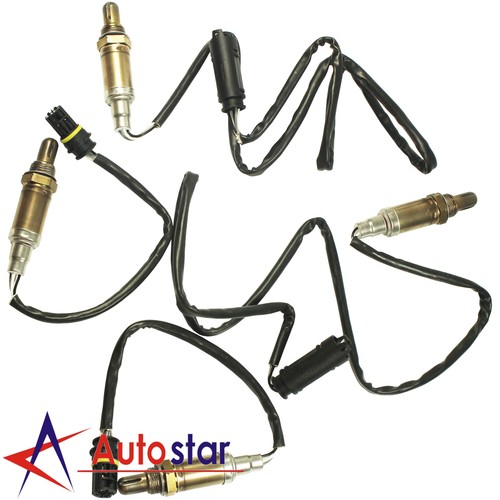 Oxygen sensor - o2,