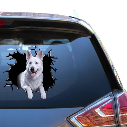 White german shepherd - german,