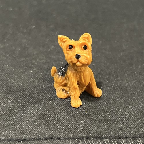 Yorkshire terrier miniature - yorkshire,