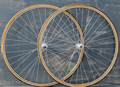 Vintage campagnolo road bike - vintage,