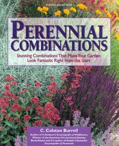 Perennial combinations - perennial,