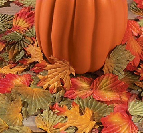 1000 fall leaves autumn - fall,