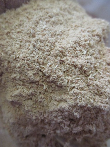 Hickory pecan cherry - pecan, saw