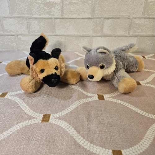 Aurora gray wolf baby - wolf, husky