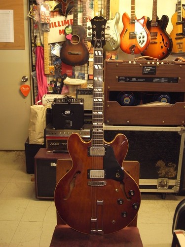 Epiphone riviera 1981 semi - riviera,