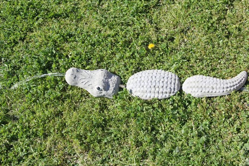 Concrete alligator - 25",