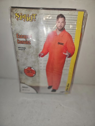 Spirit inmate jail prisoner - inmate,