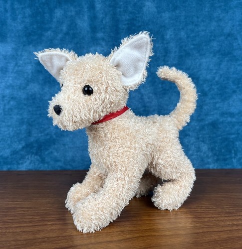 Douglas consuela chihuahua - douglas,