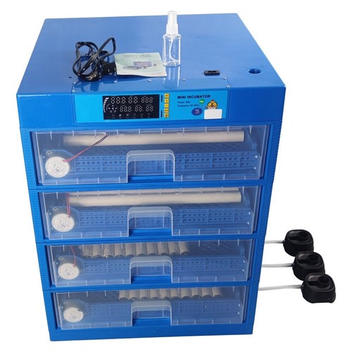 Automatic egg bird - bird, incubator