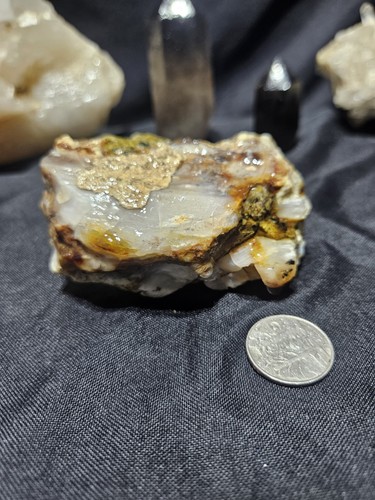 Petrified opalized wood - petrified,