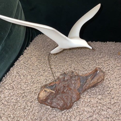 Burl wood nautical seagull - burl,