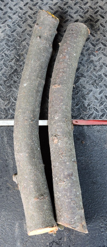 Apple wood stick - 2,