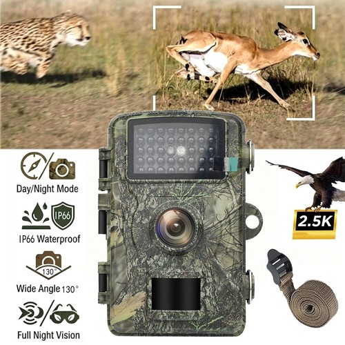 1080p trail camera - 1080p,