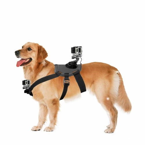 Adjustable dog fetch harness - fetch,
