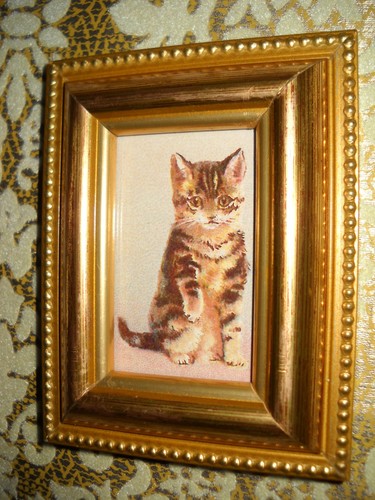 Kitten offers paw - paw, 3