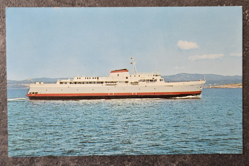 Vintage color postcard - postcard, coho